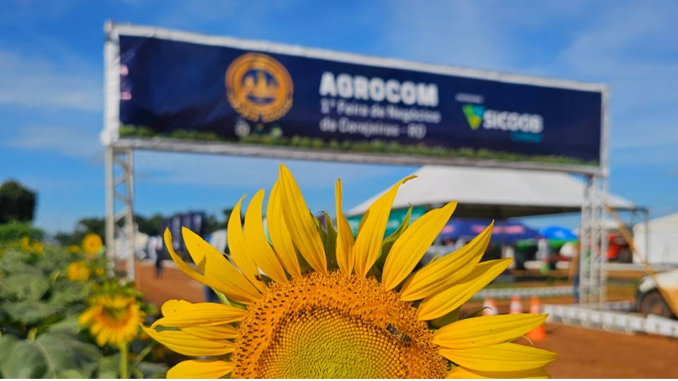 CEREJEIRAS: 3ª Agrocom traz Roberto Rodrigues e Richard Rasmussen para fortalecer o agronegócio
