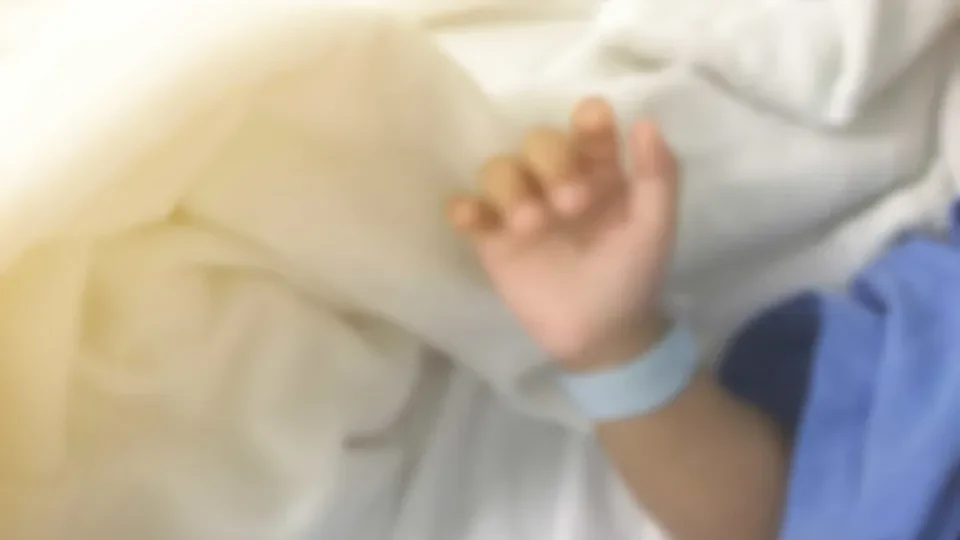 Médica-veterinária é atacada por cachorro do Senado e está em estado grave na UTI