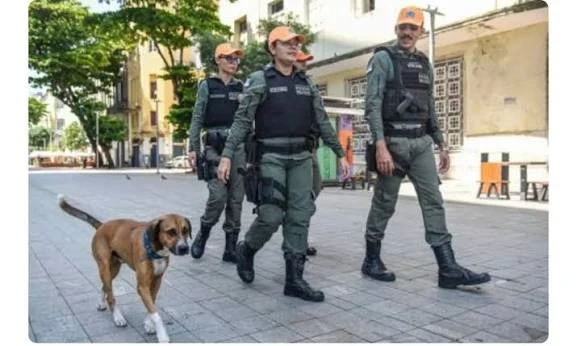 Furia propõe ampliar efetivo policial nas ruas com criação da Patrulha “Laranjinhas”