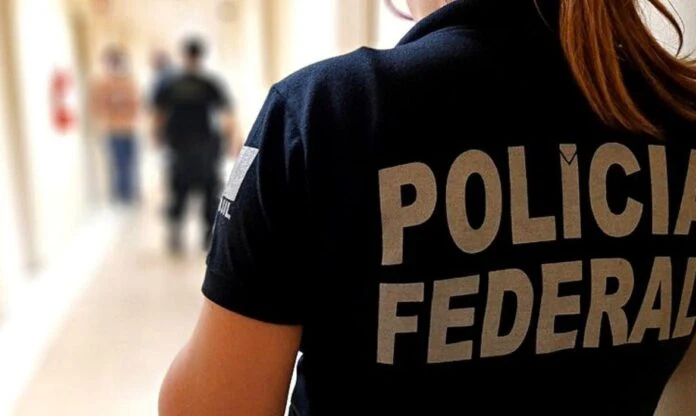 PF combate extração ilegal de madeira em terra indígena