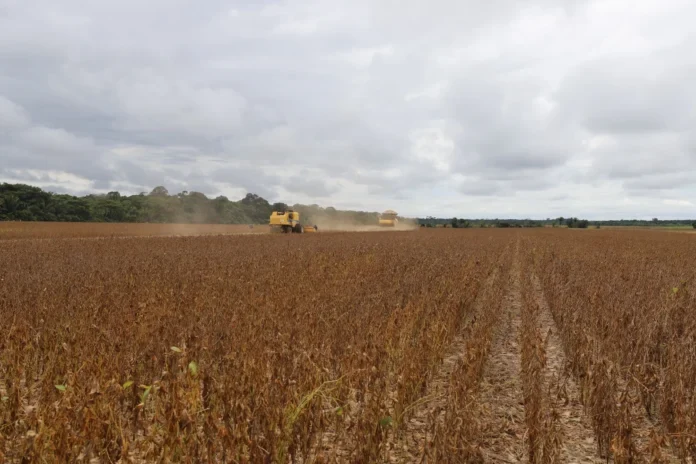 Vazio sanitário da soja termina na próxima semana e produtores de Rondônia já se preparam para nova safra